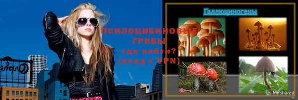 первитин Дмитров