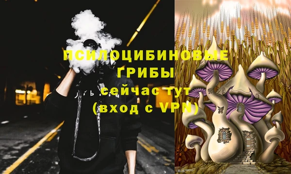 MDMA Дмитровск