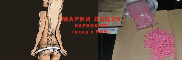 стафф Дмитриев