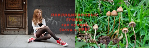 MDMA Дмитровск