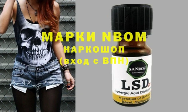 стафф Дмитриев