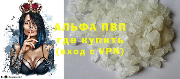 стафф Дмитриев