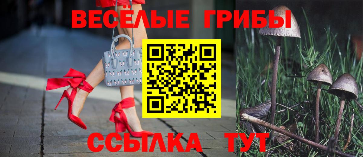Галлюциногенные грибы ЛСД Еманжелинск