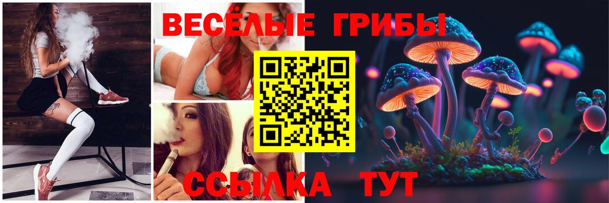 Галлюциногенные грибы Psilocybine cubensis  Вход с VPN  Еманжелинск 